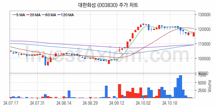 화학섬유 관련주 대한화섬 주식 종목의 분석 시점 기준 최근 일봉 차트