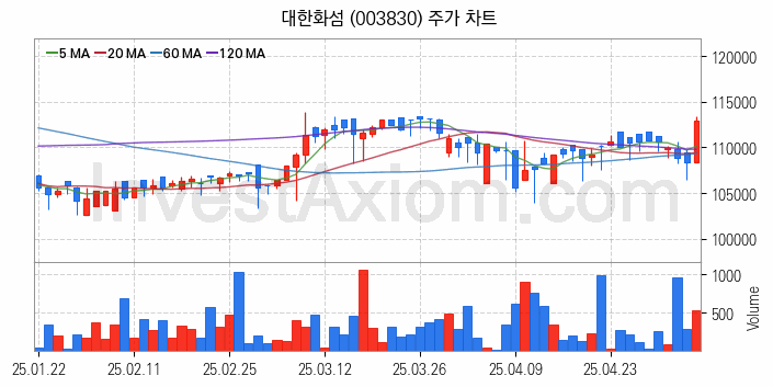 화학섬유 관련주 대한화섬 주식 종목의 분석 시점 기준 최근 일봉 차트