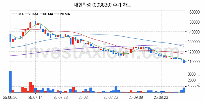화학섬유 관련주 대한화섬 주식 종목의 분석 시점 기준 최근 일봉 차트