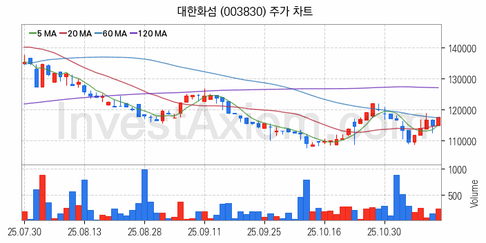 화학섬유 관련주 대한화섬 주식 종목의 분석 시점 기준 최근 일봉 차트