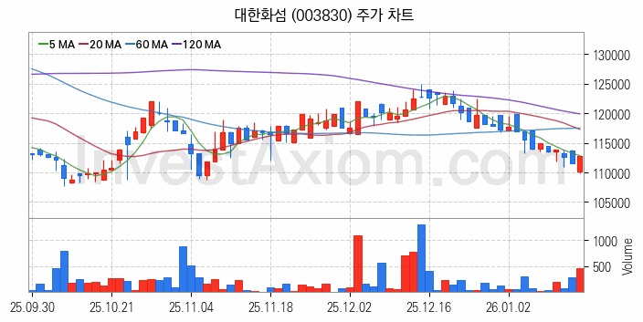 화학섬유 관련주 대한화섬 주식 종목의 분석 시점 기준 최근 일봉 차트
