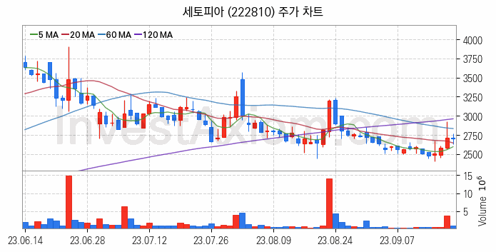 희귀금속 희토류 관련주 세토피아 주식 종목의 분석 시점 기준 최근 일봉 차트