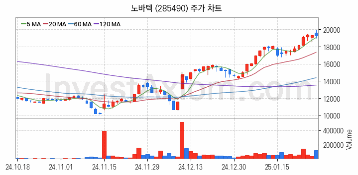 희귀금속 희토류 관련주 노바텍 주식 종목의 분석 시점 기준 최근 일봉 차트