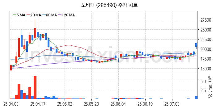 희귀금속 희토류 관련주 노바텍 주식 종목의 분석 시점 기준 최근 일봉 차트