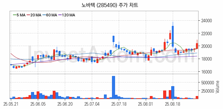 희귀금속 희토류 관련주 노바텍 주식 종목의 분석 시점 기준 최근 일봉 차트