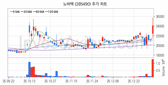 희귀금속 희토류 관련주 노바텍 주식 종목의 분석 시점 기준 최근 일봉 차트