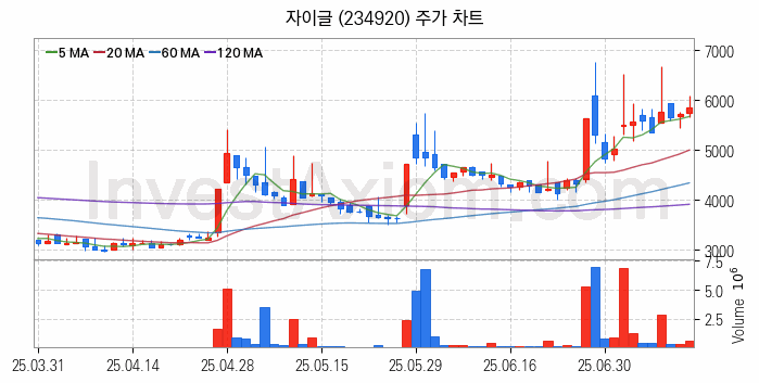 2차전지 나트륨이온 관련주 자이글 주식 종목의 분석 시점 기준 최근 일봉 차트