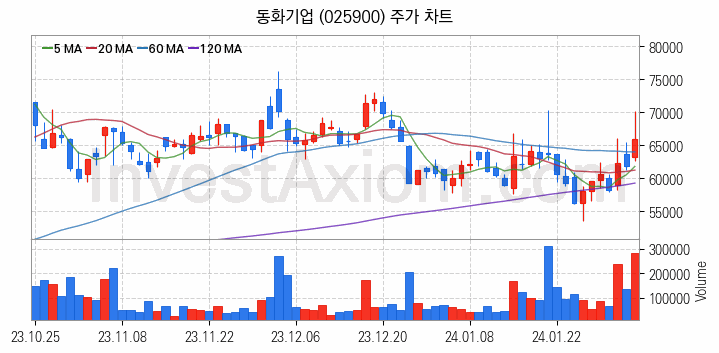 2차전지 소재 부품 관련주 동화기업 주식 종목의 분석 시점 기준 최근 일봉 차트