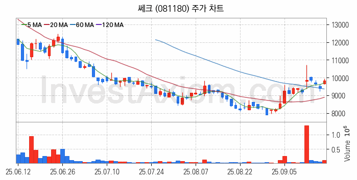 2차전지 장비 관련주 쎄크 주식 종목의 분석 시점 기준 최근 일봉 차트