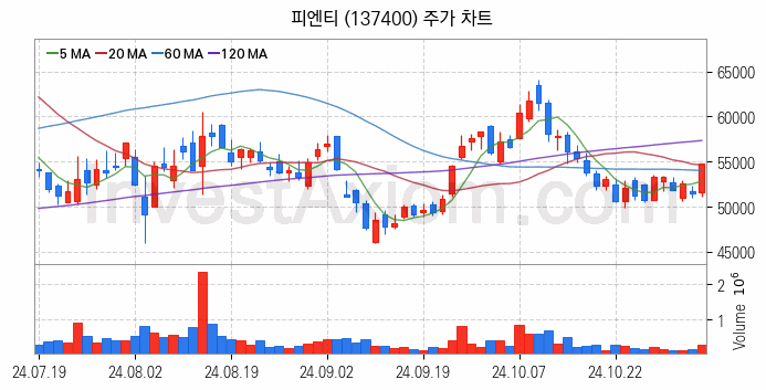 2차전지 장비 관련주 피엔티 주식 종목의 분석 시점 기준 최근 일봉 차트