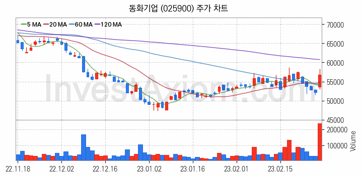 2차전지 전고체 관련주 동화기업 주식 종목의 분석 시점 기준 최근 일봉 차트