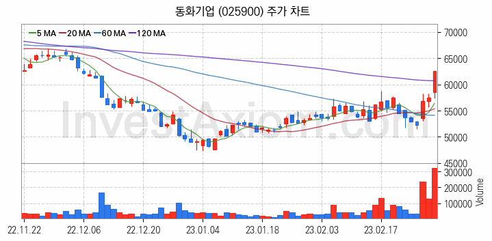 2차전지 전고체 관련주 동화기업 주식 종목의 분석 시점 기준 최근 일봉 차트