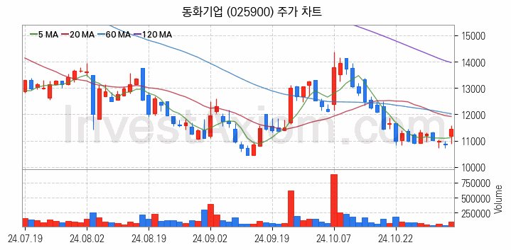 2차전지 전고체 관련주 동화기업 주식 종목의 분석 시점 기준 최근 일봉 차트