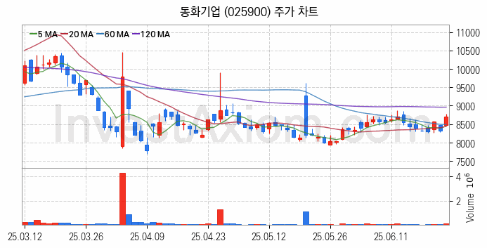 2차전지 전고체 관련주 동화기업 주식 종목의 분석 시점 기준 최근 일봉 차트