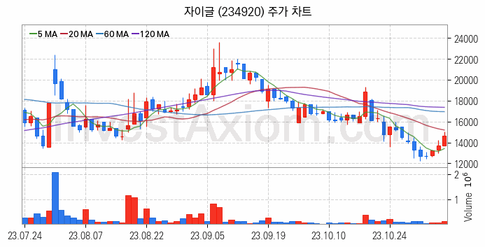 2차전지 LFP 리튬인산철 관련주 자이글 주식 종목의 분석 시점 기준 최근 일봉 차트