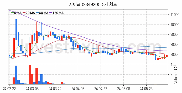 2차전지 LFP 리튬인산철 관련주 자이글 주식 종목의 분석 시점 기준 최근 일봉 차트