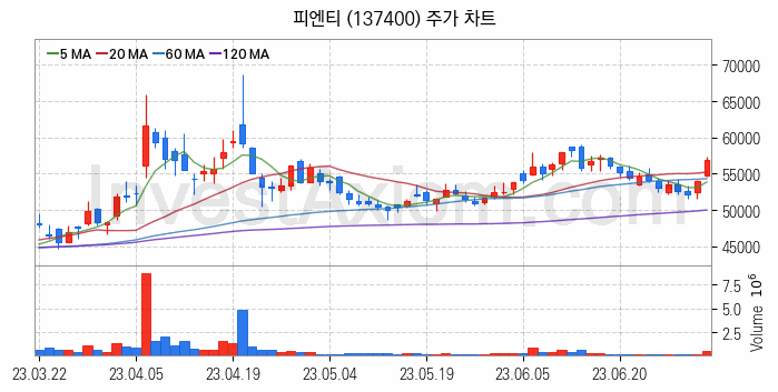 LCD장비 관련주 피엔티 주식 종목의 분석 시점 기준 최근 일봉 차트