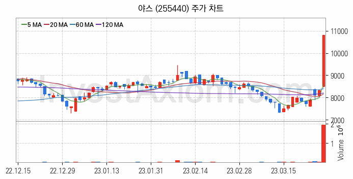 OLED 유기발광다이오드 관련주 야스 주식 종목의 분석 시점 기준 최근 일봉 차트