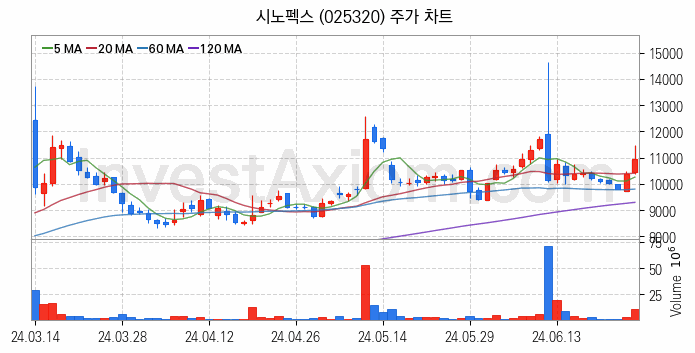 PCB 관련주 시노펙스 주식 종목의 분석 시점 기준 최근 일봉 차트