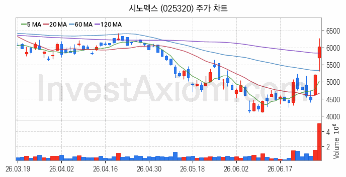PCB 관련주 시노펙스 주식 종목의 분석 시점 기준 최근 일봉 차트