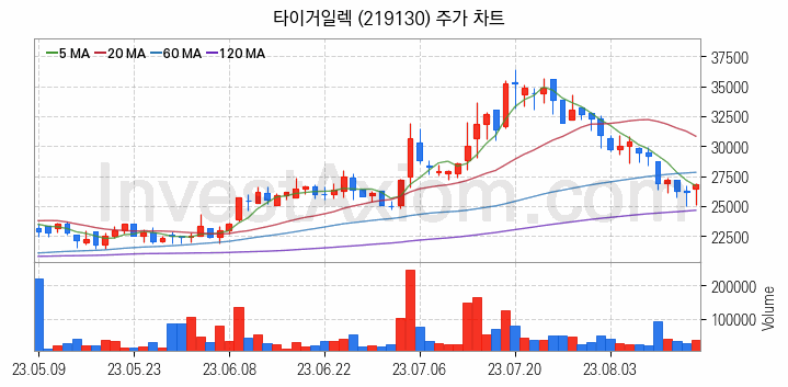 PCB 관련주 타이거일렉 주식 종목의 분석 시점 기준 최근 일봉 차트