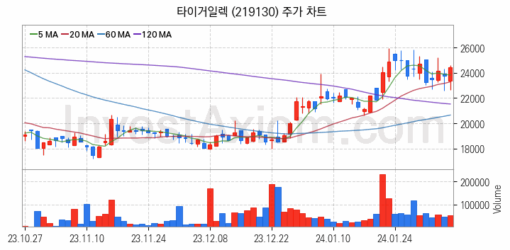 PCB 관련주 타이거일렉 주식 종목의 분석 시점 기준 최근 일봉 차트