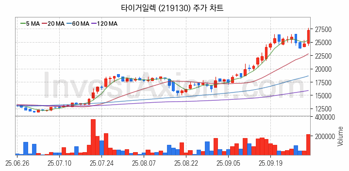 PCB 관련주 타이거일렉 주식 종목의 분석 시점 기준 최근 일봉 차트