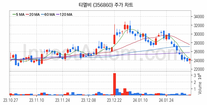 PCB 관련주 티엘비 주식 종목의 분석 시점 기준 최근 일봉 차트