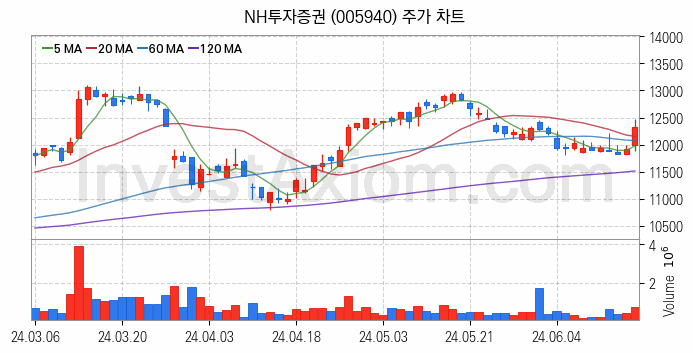 STO 증권형토큰 관련주 NH투자증권 주식 종목의 분석 시점 기준 최근 일봉 차트