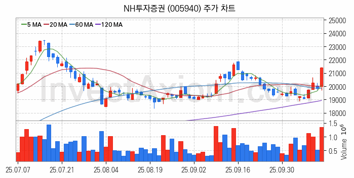 STO 증권형토큰 관련주 NH투자증권 주식 종목의 분석 시점 기준 최근 일봉 차트