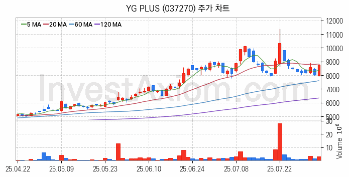 광고 관련주 YG PLUS 주식 종목의 분석 시점 기준 최근 일봉 차트