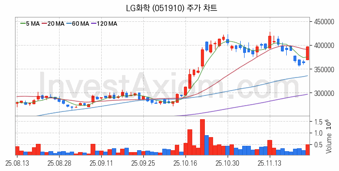 리튬 관련주 LG화학 주식 종목의 분석 시점 기준 최근 일봉 차트