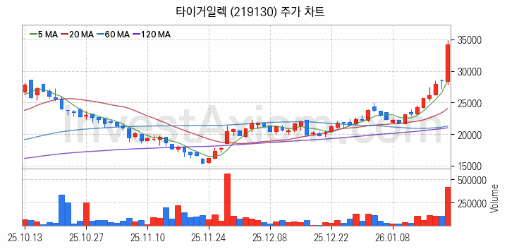반도체 재료 부품 관련주 타이거일렉 주식 종목의 분석 시점 기준 최근 일봉 차트