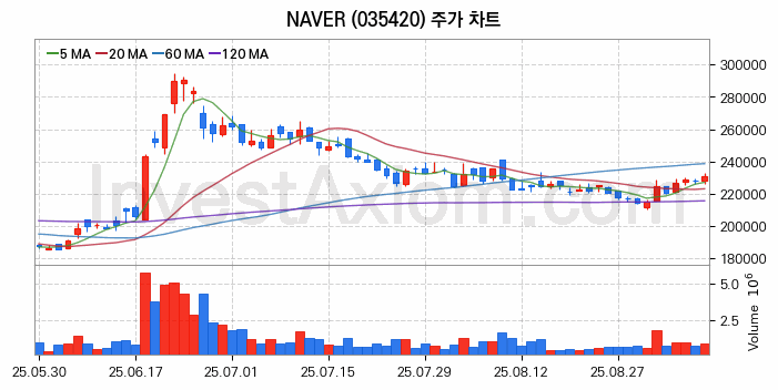 스테이블코인 관련주 NAVER 주식 종목의 분석 시점 기준 최근 일봉 차트