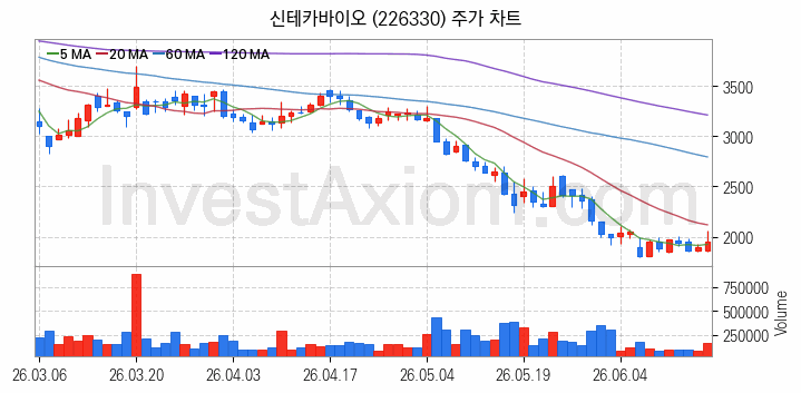 의료AI 관련주 신테카바이오 주식 종목의 분석 시점 기준 최근 일봉 차트