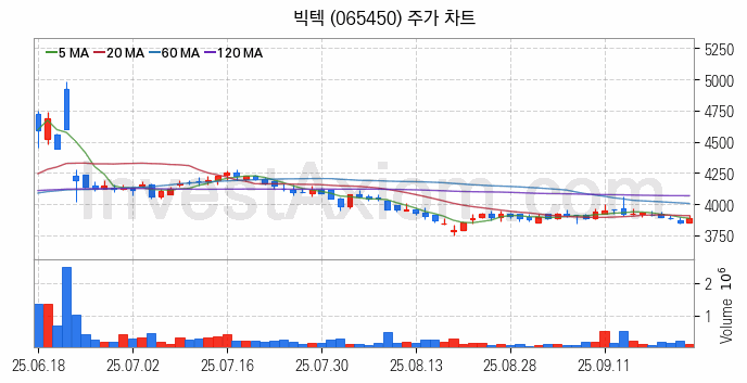 자전거 관련주 빅텍 주식 종목의 분석 시점 기준 최근 일봉 차트
