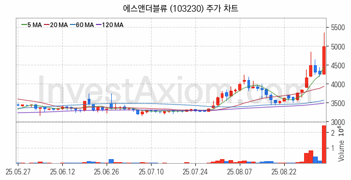 조선기자재 관련주 에스앤더블류 주식 종목의 분석 시점 기준 최근 일봉 차트